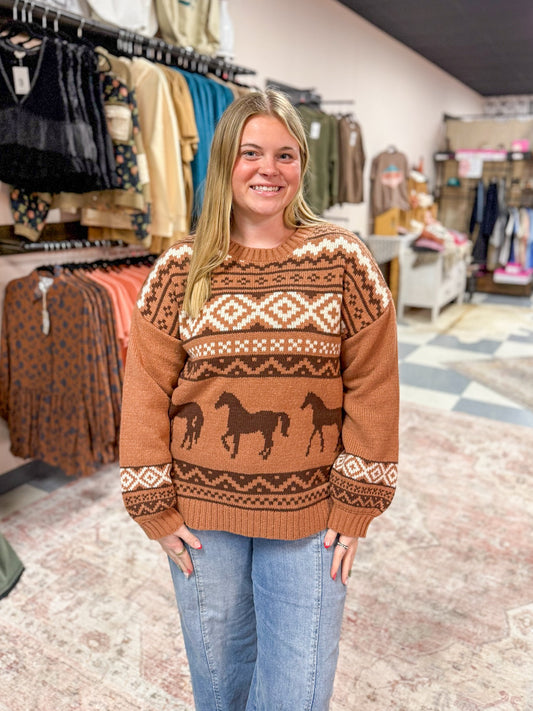 Western Wonderland Knitted Sweater