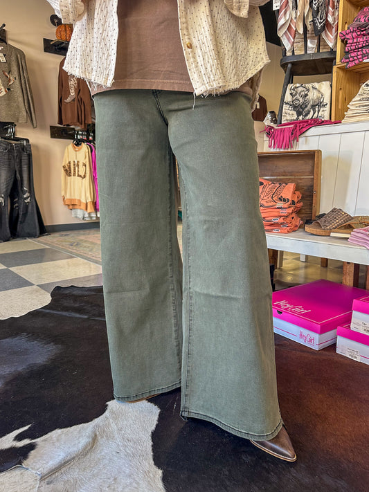 CURVY MICA: High Rise Vintage Wash Denim